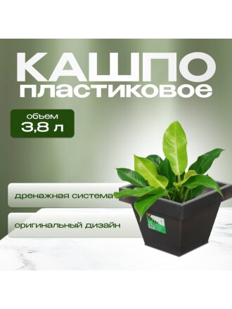 Кашпо пластик, 3.8 л, 21х16 см, черный гранит, Darel, Квадро, 50709