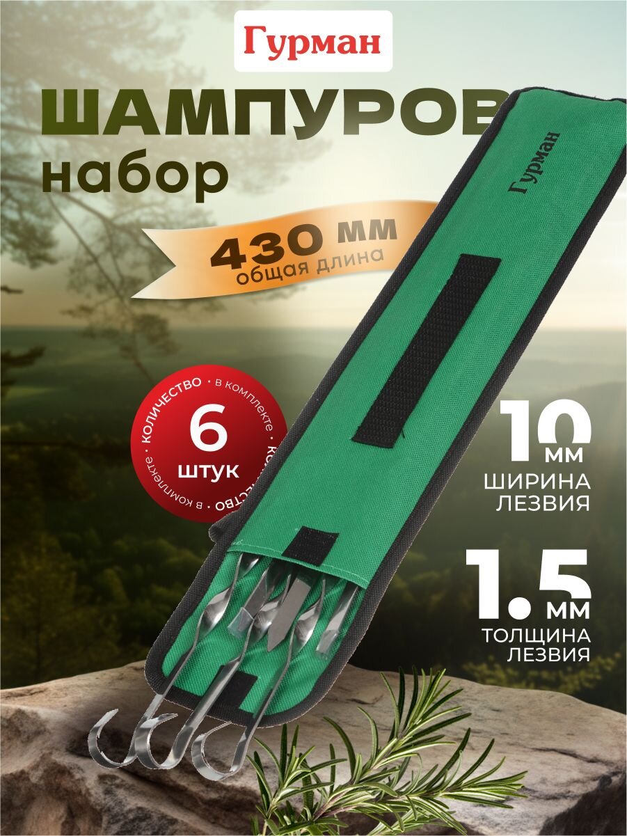 Шампур лезвие плоское, 6 шт, 430х10х1.5 мм, нержавеющая сталь, Гурман, в чехле, CB2234