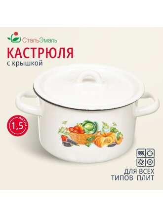 Кастрюля эмалированная сталь, 1.5 л, крышка сталь, цилиндрическая, СтальЭмаль, 1с15с/1, в ассортименте, индукция