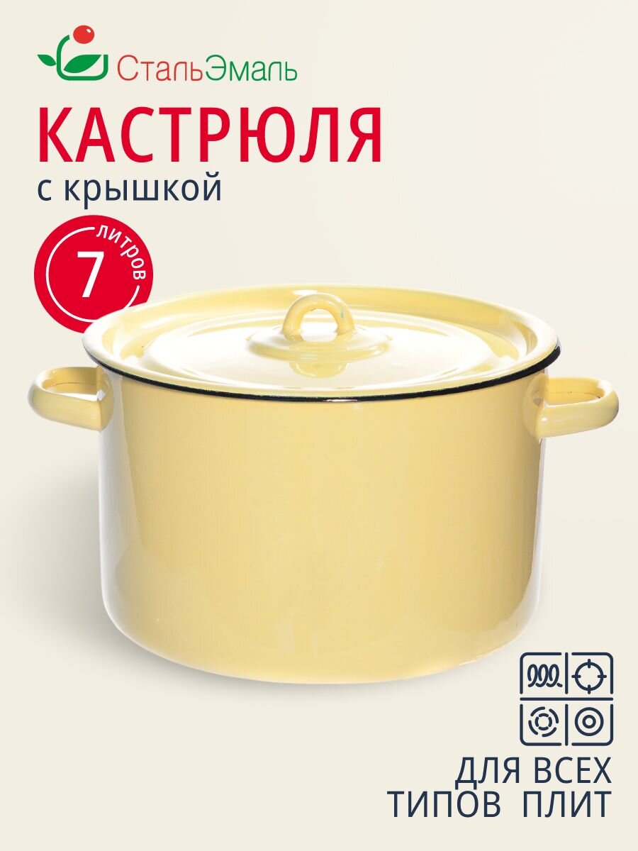Кастрюля эмалированная сталь, 7 л, крышка сталь, СтальЭмаль, 2с18, в ассортименте, индукция