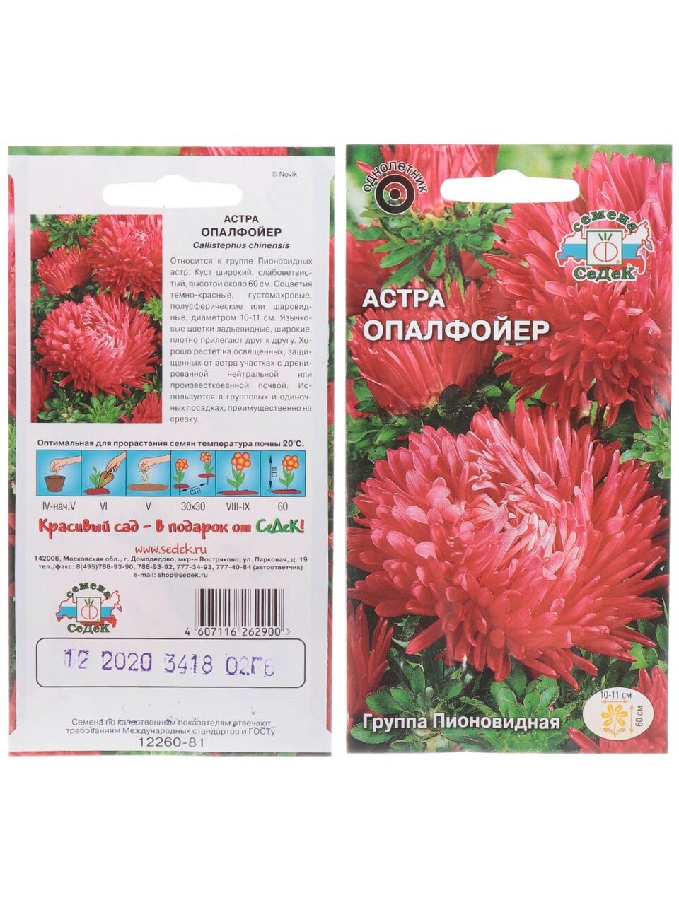 Семена Цветы, Астра, Опалфойер, 0.2 г, пионовидная, темно-красная, цветная упаковка, Седек