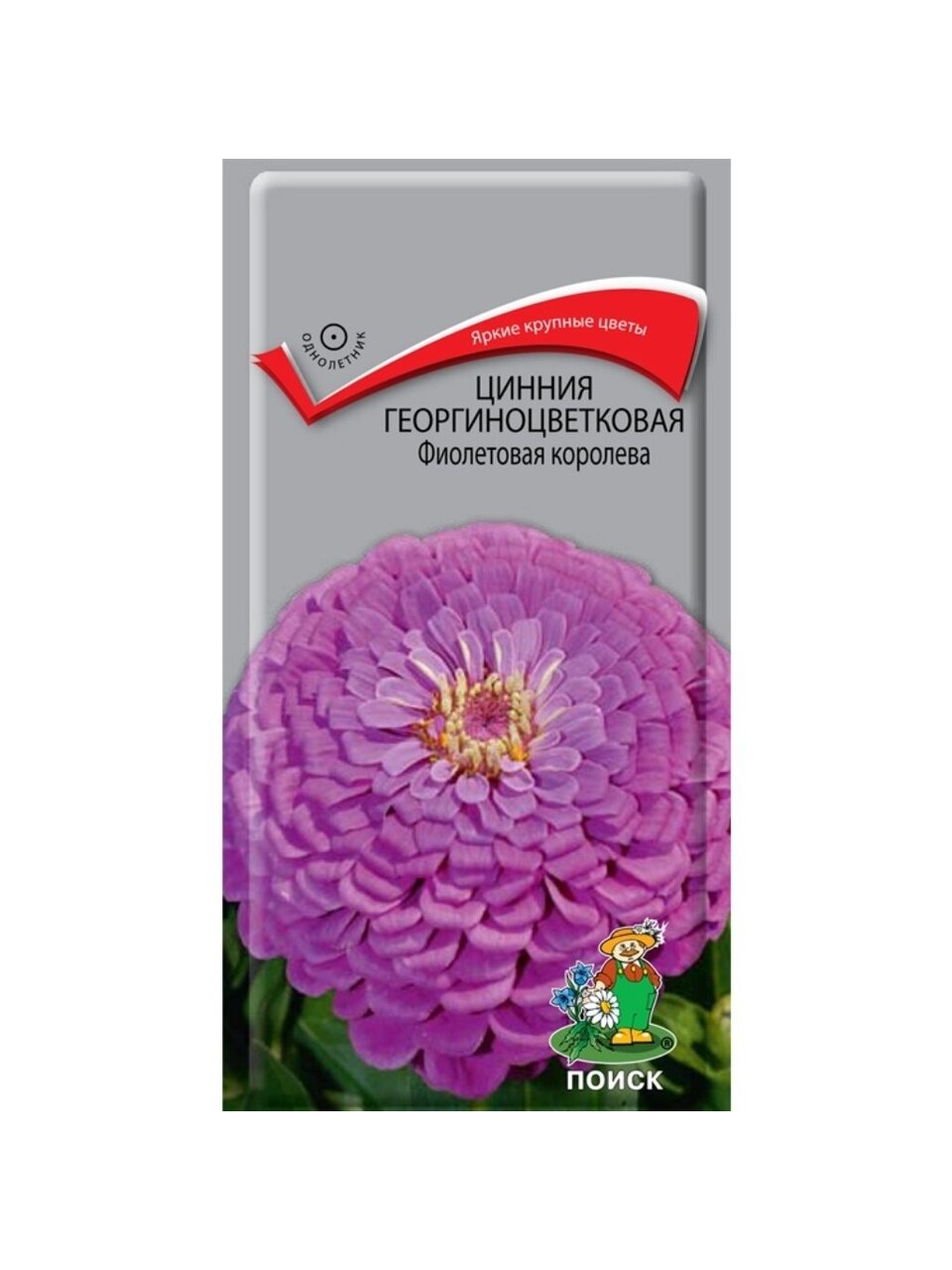 Семена Цветы, Цинния, Фиолетовая королева, 0.4 г, георгиноцветковая, цветная упаковка, Поиск