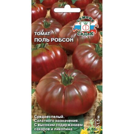 Поль Робсон