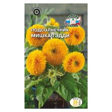 Мишка Тэдди махровый