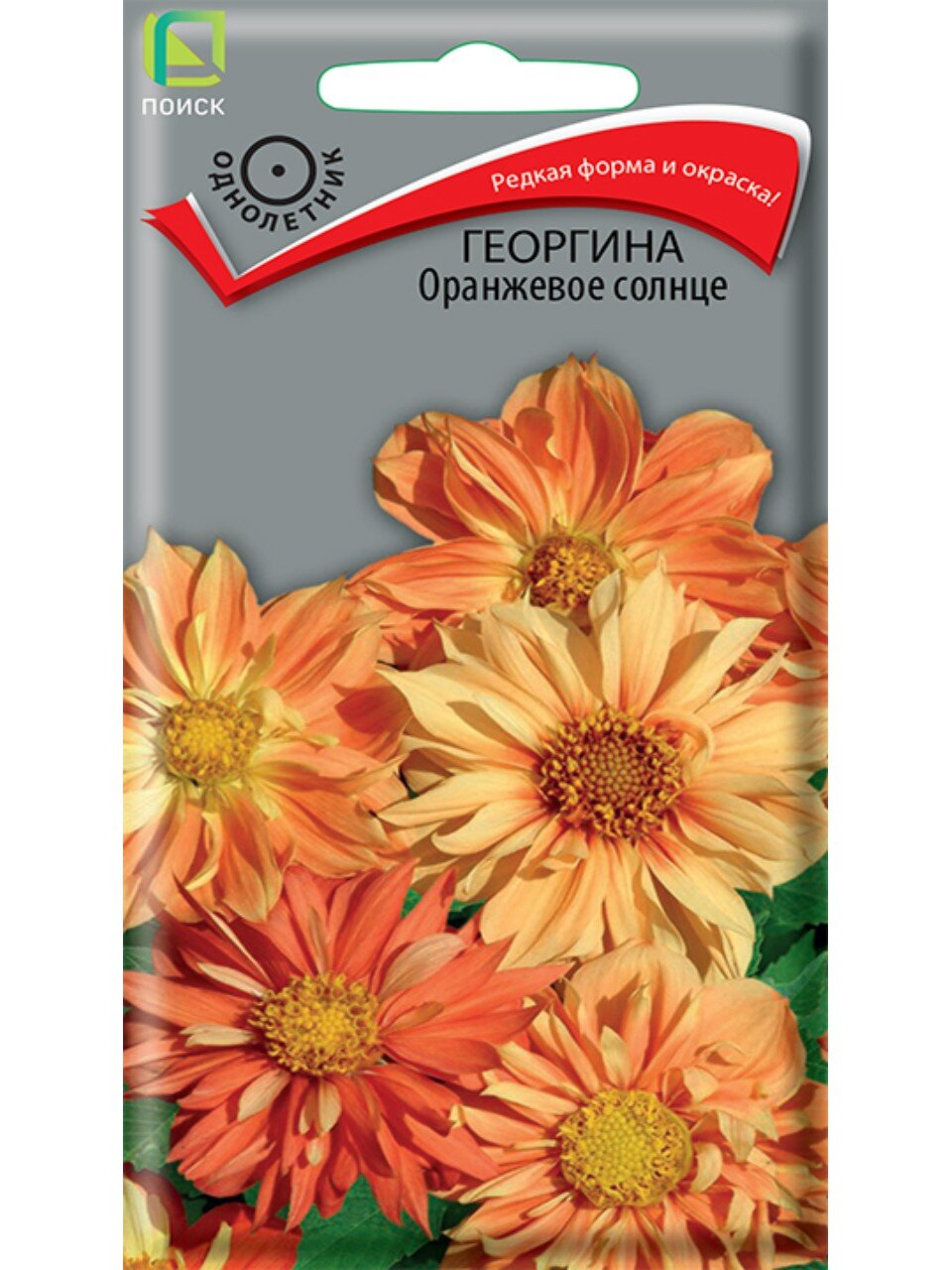 Семена Цветы, Георгина, Оранжевое солнце, 10 шт, цветная упаковка, Поиск