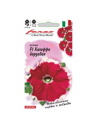 Калиффо бордовая F1 Farao