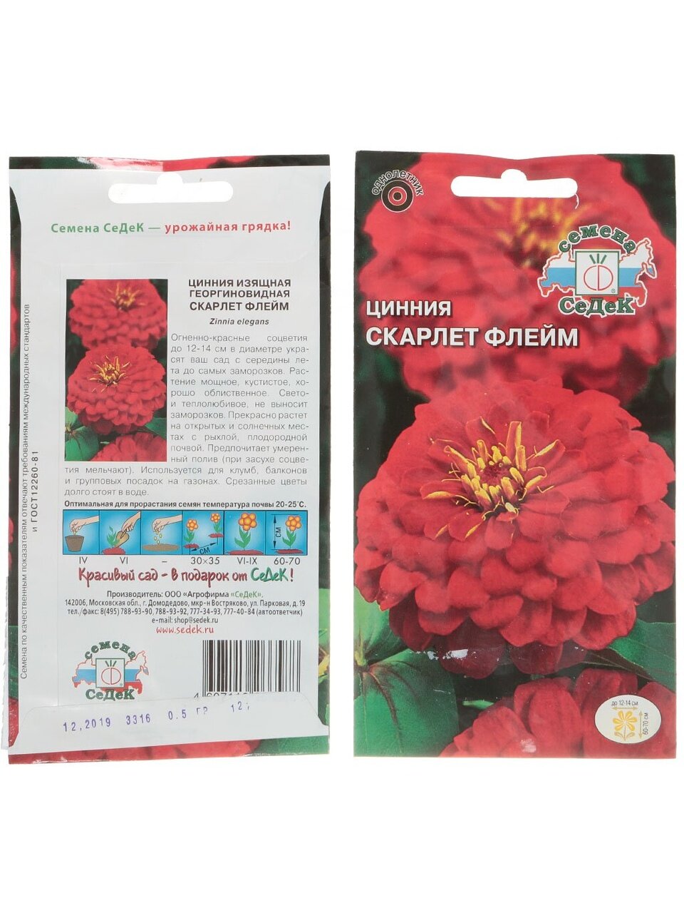 Семена Цветы, Цинния, Скарлет Флейм георгиновидная, георгиновидная, красная, цветная упаковка, Седек