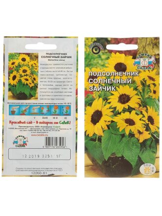 Солнечный зайчик