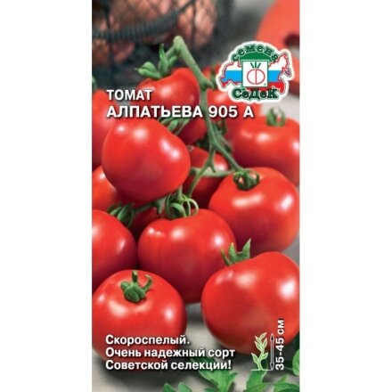 Алпатьева 905
