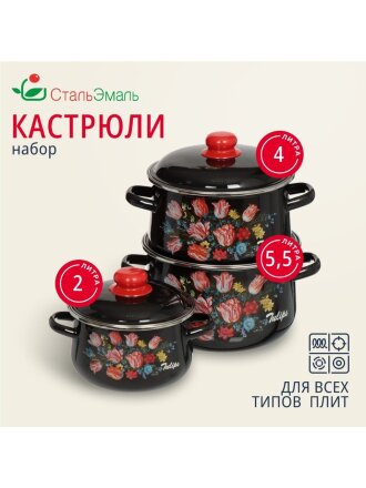 Набор посуды эмалированная сталь, 6 предметов, кастрюли 2,4,5.5 л, индукция, СтальЭмаль, Букет тюльпанов, 1с408