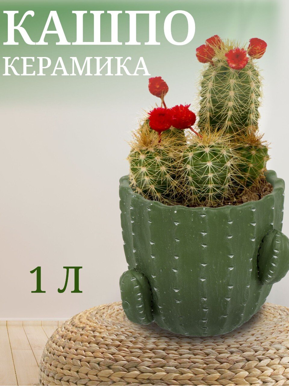 Кашпо керамика, 1 л, 14х12х14 см, Кактус, Y4-3081