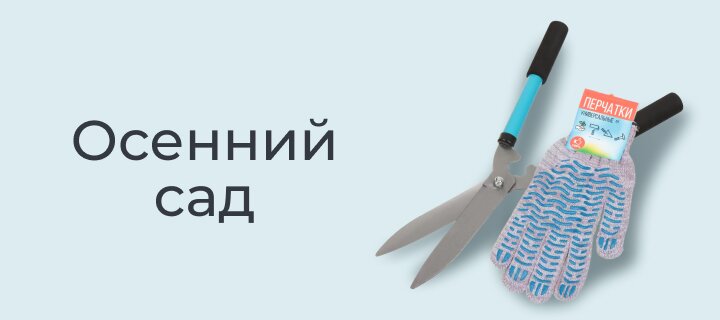 Осенний сад