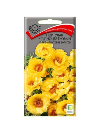 Солнечная страна золотой