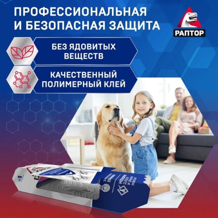 клеевая ловушка