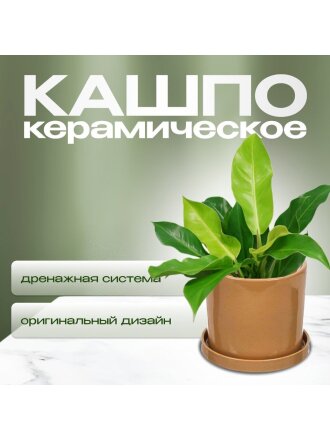 Горшок керамика, 21.5х21 см, для цветов, латте, Лидер №1, 4083