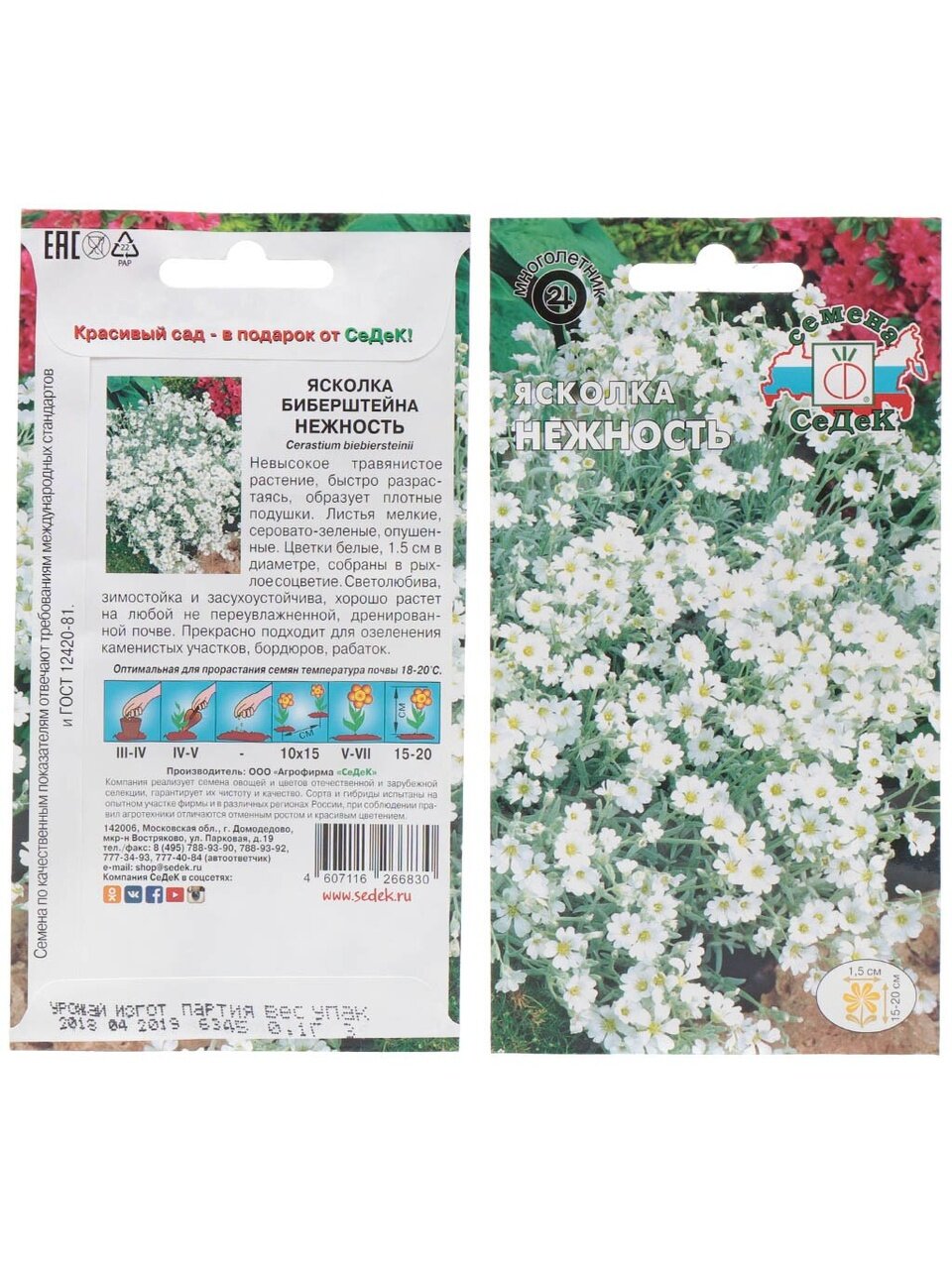 Семена Цветы, Ясколка, Нежность, вид Биберштейна, белая, цветная упаковка, Седек