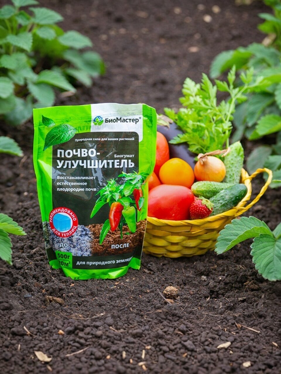 Удобрение Биогумат, почвоулучшитель, порошок, 500 г, БиоМастер
