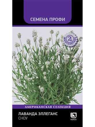 Эллеганс Сноу