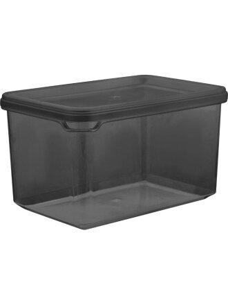 Банка для сыпучих продуктов, пластик, 0.55 л, 12.5х8.5х7.3 см, с крышкой, Plast team, Black, PT170610621