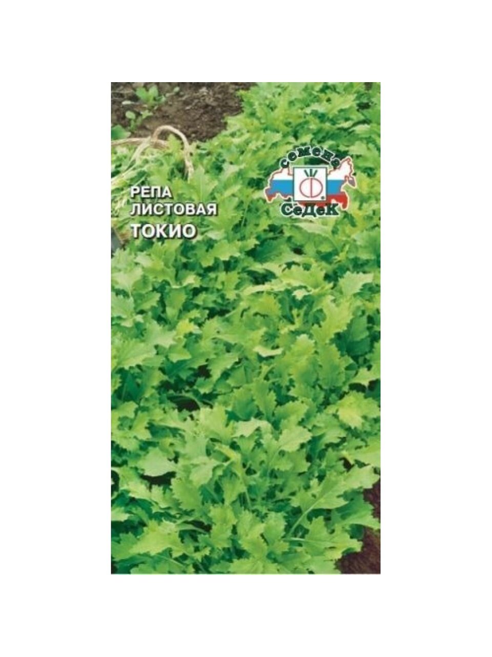 Семена Репа, Токио, 0.5 г, цветная упаковка, Седек