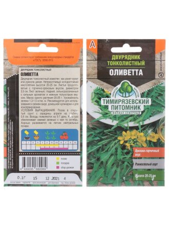 Оливетта