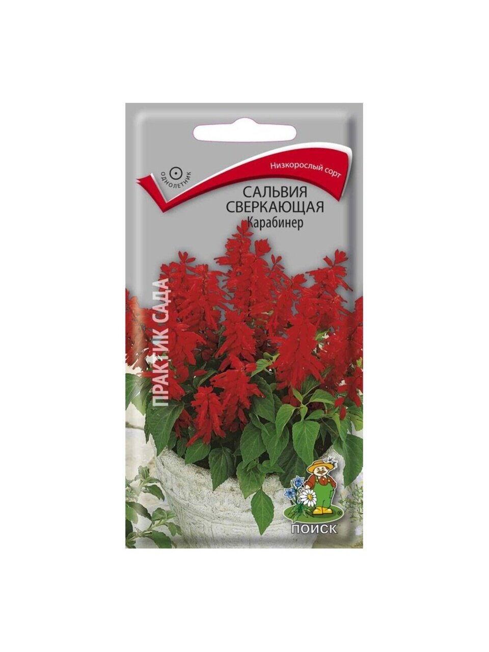 Семена Цветы, Сальвия, Карабинер, 0.1 г, цветная упаковка, Поиск