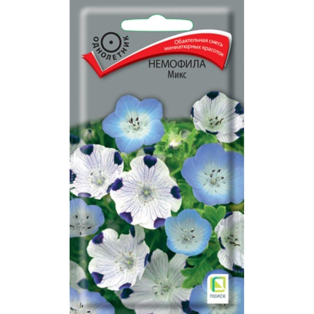 Семена Цветы, Немофила, Микс, 0.1 г, цветная упаковка, Поиск