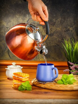 Чайник нержавеющая сталь, 3 л, со свистком, зеркальный, ручка с силиконовым покрытием, Daniks, индукция, перламутровый, MSY-072