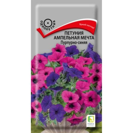 Мечта пурпурно-синяя