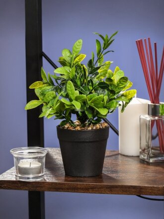 Цветок искусственный декоративный Трава, в горшке, 25х9х9 см, в ассортименте, Y4-3490