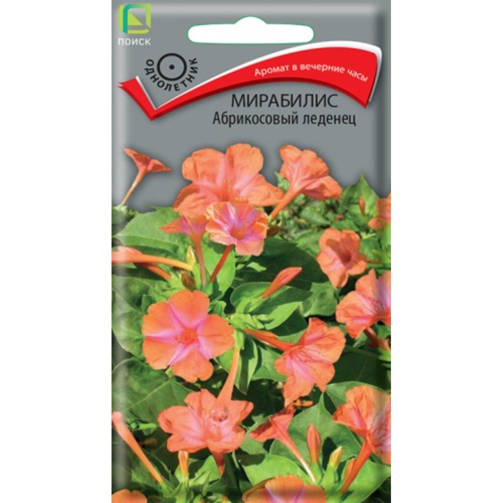 Семена Цветы, Мирабилис, Абрикосовый леденец, 1 г, цветная упаковка, Поиск
