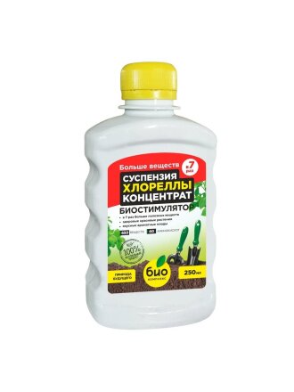 Суспензия хлореллы