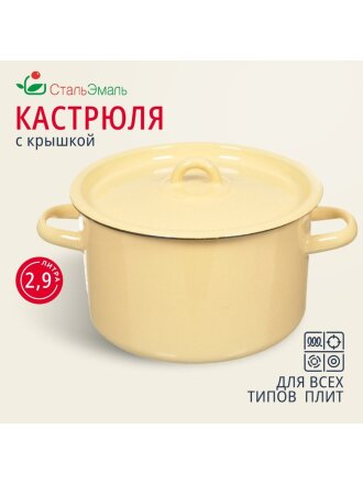 Кастрюля эмалированная сталь, 2.9 л, крышка сталь, СтальЭмаль, 2с16/1, в ассортименте, индукция