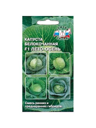 Лето-осень F1