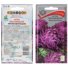 Фиолетовая башня