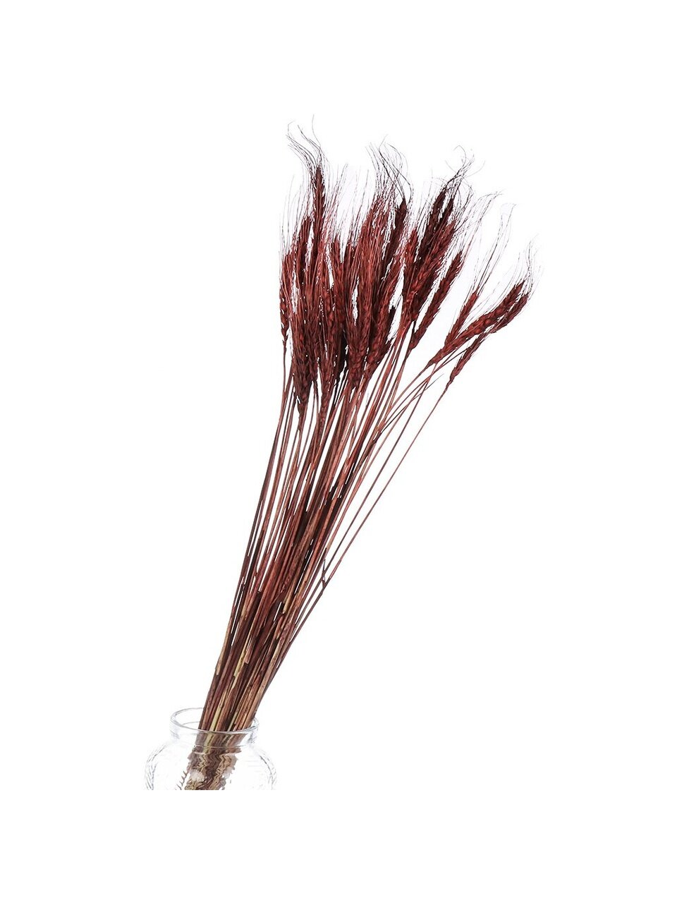 Цветок искусственный декоративный Колосья, 70 см, коричневый, Y6-10403