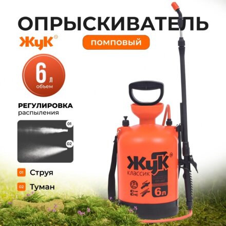 6 л