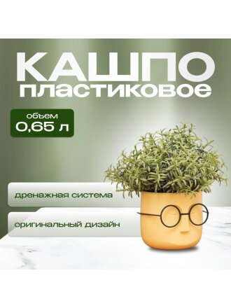 Кашпо пластик, 0.65 л, 11.5х10.5 см, со вставкой, банановое, Idea, Стив, М 3079