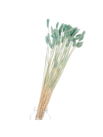 Цветок искусственный декоративный Сухоцветы, 55 см, голубой, Y6-10400