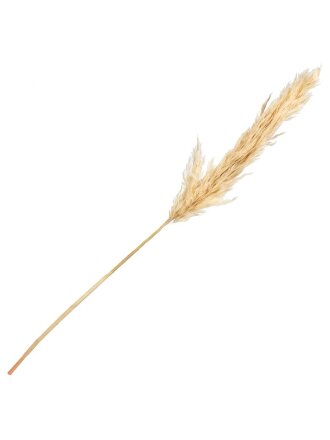 Цветок искусственный декоративный Ветвь, 90 см, бежевый, Y6-7191