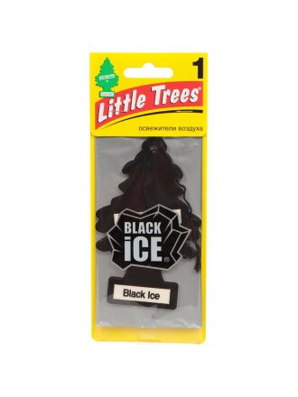 Ароматизатор в машину подвесной, сухой, Car-Freshner, Черный лед, 35889