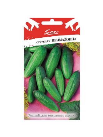 Примадонна F1