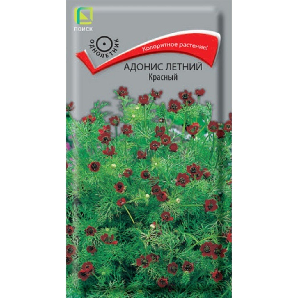 Семена Цветы, Адонис, Красный, 0.3 г, летние, цветная упаковка, Поиск