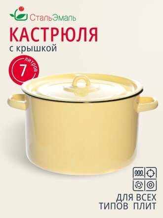 Кастрюля эмалированная сталь, 7 л, крышка сталь, СтальЭмаль, 2с18, в ассортименте, индукция