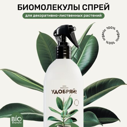 500 мл
