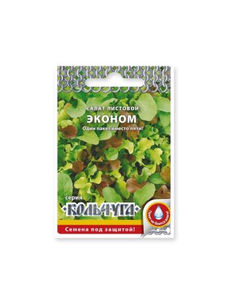 Эконом