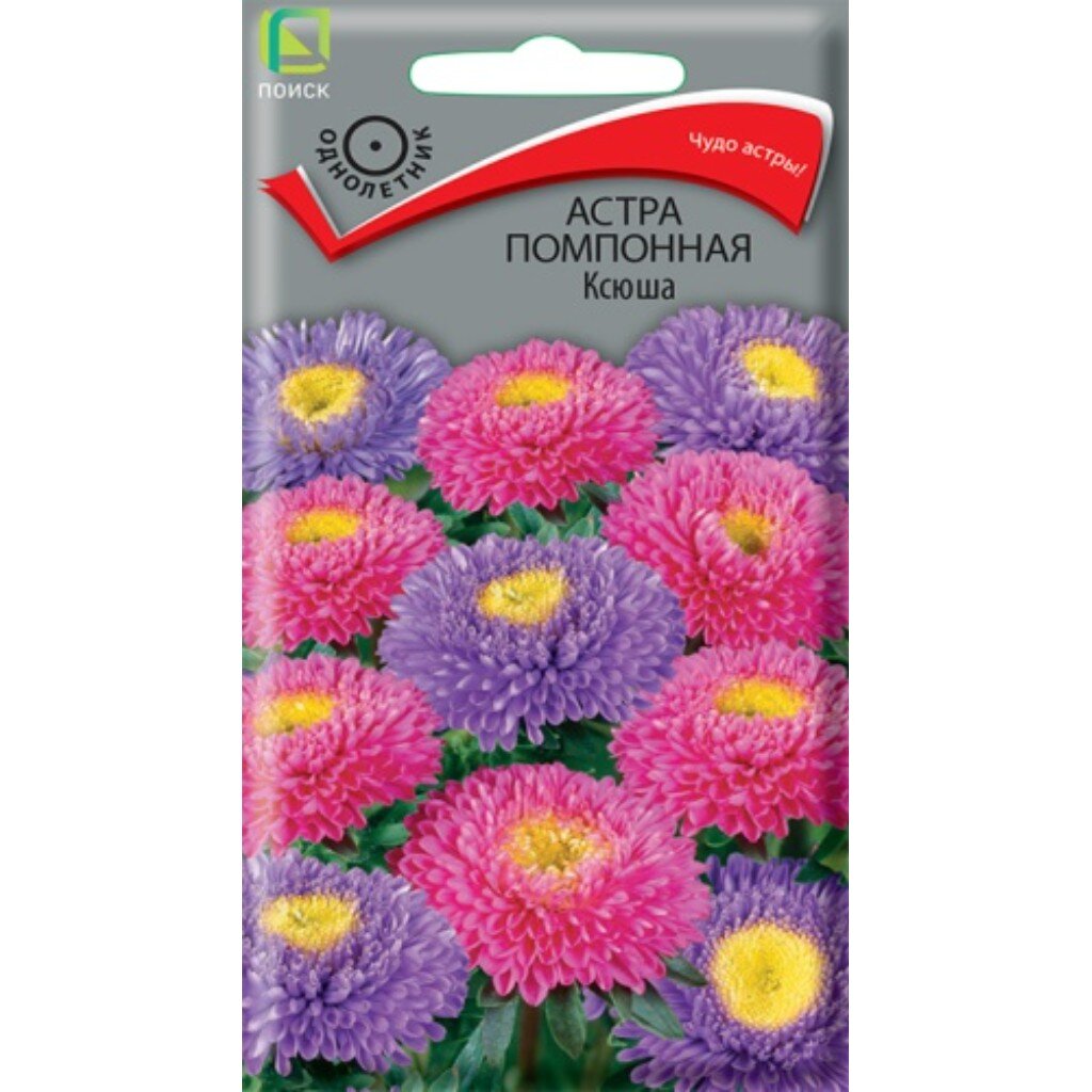Семена Цветы, Астра, Ксюша, 0.3 г, помпонная, однолетняя, цветная упаковка, Поиск