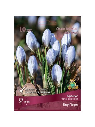 Луковицы Крокус ботанический, Блу Перл, 5-7/К, 10 шт
