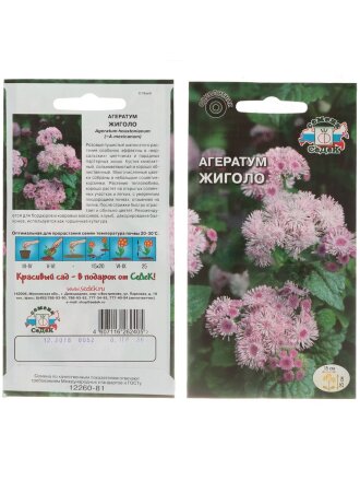 Агератум