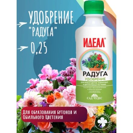 Радуга